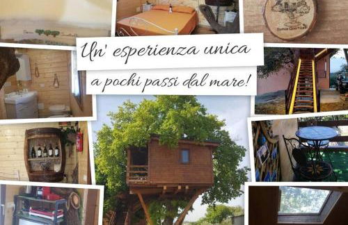 Casa sull'Albero Treehouse Costa dei Trabocchi - Foto 17