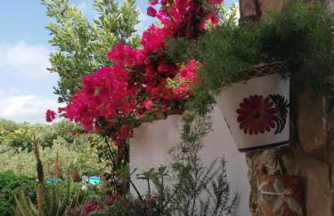 Alojamiento rural Masía Valldepérez - Foto 36