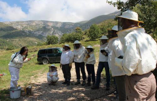 Albergue Casa Fumenal - Foto 67