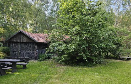 Dom Pod Brzozami Lipinki Bory Tucholskie basen - psy, koty mile widziane! - Photo 13