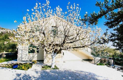 Family friendly house with a swimming pool Plano, Trogir - 21403 - Foto 17