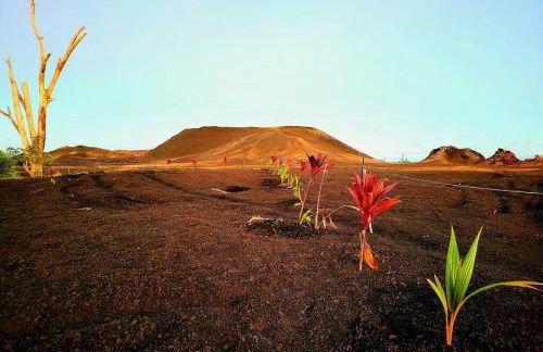 Unique Lava House by steaming crater - Photo 37