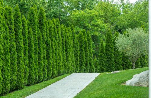 Villa Casa Brazzana - Photo 16