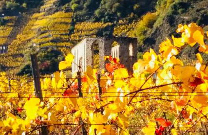 Ferienhaus Scheid - Foto 1