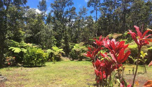 Mauna Nani - Foto 4, Garden