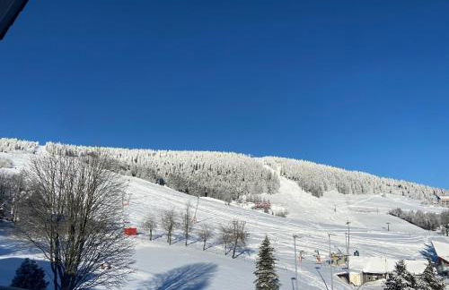 Villa Laas Oberwiesenthal - Foto 3
