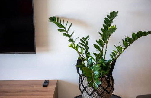 Apartment Amon Estel - Photo 17