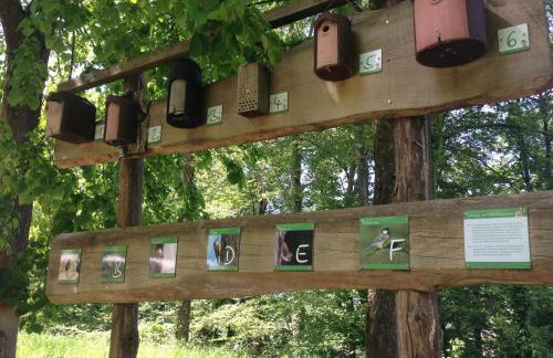 Familien-Appartement Schwarzwald bei Freiburg mit bis zu 4 Schlafzimmern - Foto 72