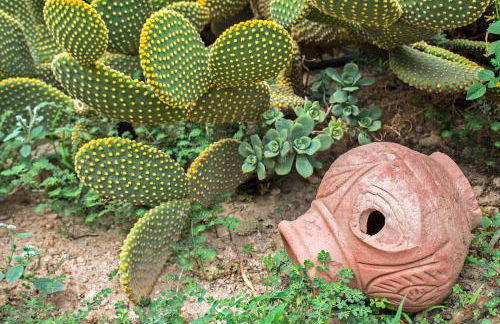 Esperides Stone Houses - Photo 12