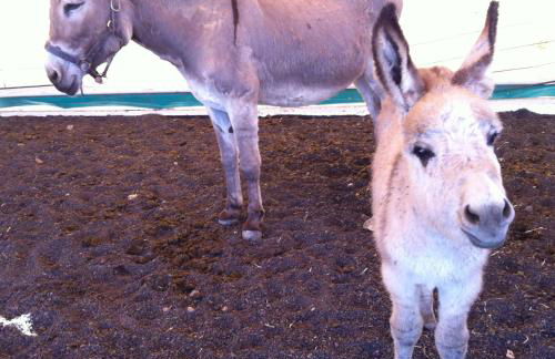 La Finca Uga - Photo 66