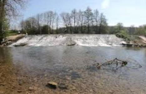 La maison papillon - Foto 12