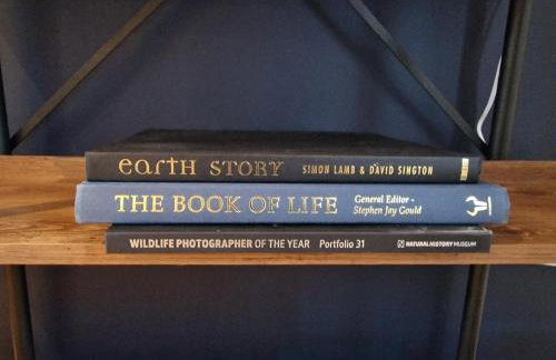 Large 4-bed house for up to 7 guests w 2x parking - Foto 18