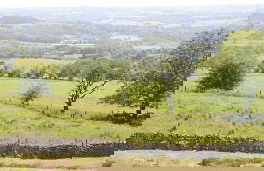 Brambles Farm Peak District Lodge - Foto 27