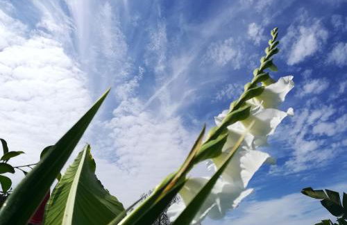 Ideal Villa in Vila Nova de Famalicão with Private Pool - Foto 29