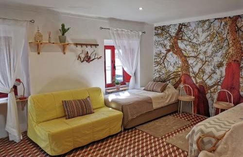 4Bs - Birds & Bicycles - Foto 7