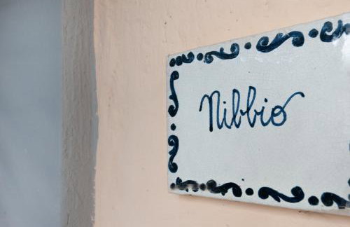 Universal Harmony - Nibbio - Photo 12