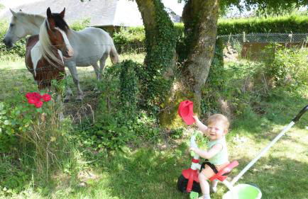 Gîte et Relais Equestre de Marie - Foto 69