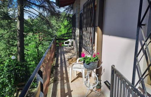 LA BARCA NEL FRUTTETO Natura e relax in collina - Foto 76