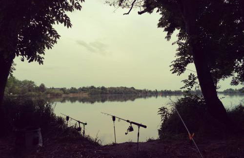 Naturferienhof Märkisch Luch - Trapphahn - Foto 21