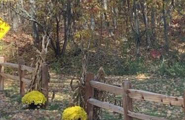 Knotty but Nice-sleeps 6-one minute to lake! - Foto 39