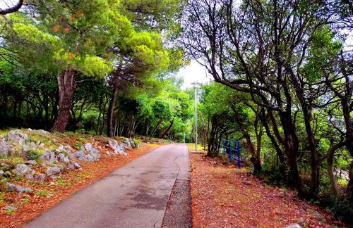 Apartman Pelcic,with WiFi and free parking - Foto 21