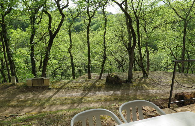 Le Châtaignier - Foto 14