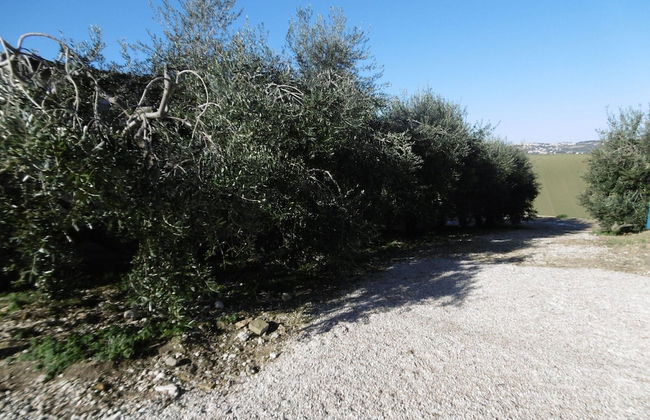 Bright Apartment in a Farmhouse With Swimming Pool - Foto 16