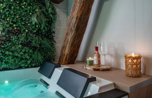 BALI ROOM / Magnifique studio évasion JACCUZI - Foto 7
