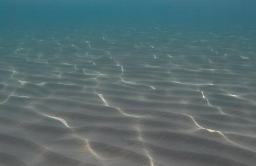 Blue Diamond - Foto 39