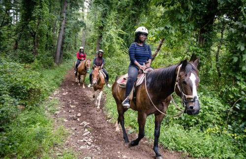 The Black Forest Chalet - Hot Tub, Hiking, Kayak - Foto 10