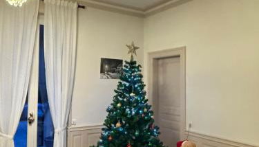 Le charme d'Alsace - Foto 5