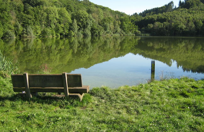 9 bedroom House in Immerath with garden and terrace - Photo 73