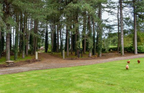 Black Lion Folly - Foto 38