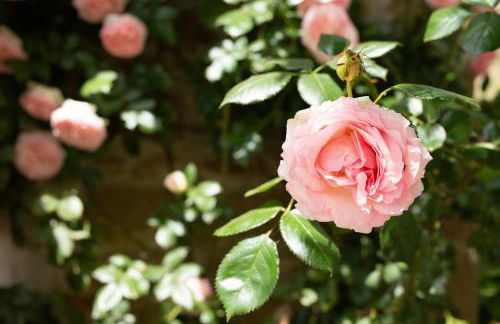 Agriturismo I Millepini - Foto 75