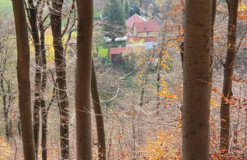 Ferien Langer Grund mitten im Wald - Foto 9
