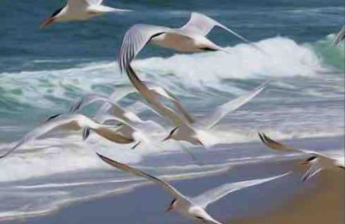 Appartement au gré des bulles - Foto 8