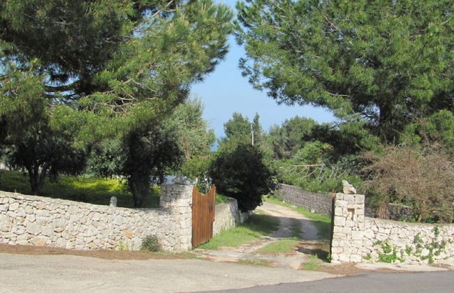 Villa Giulia - Photo 19