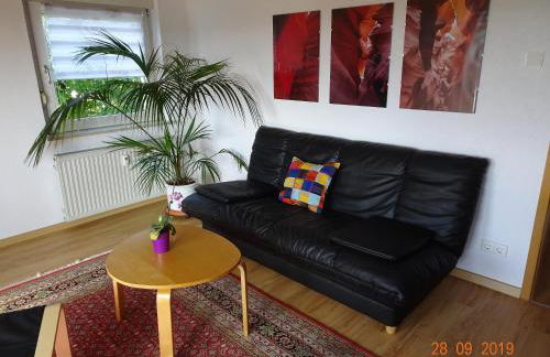 Ulmer Münster Blick - Foto 12