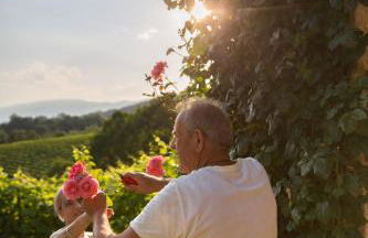 Villa Prosecco - Foto 21