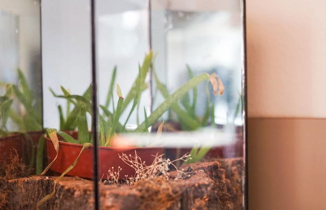 The Atrium Haven Winter Park Cabin Hot Tub - Photo 26