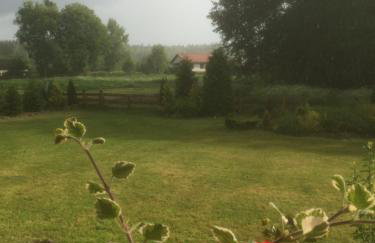 Dom w Sąpach - Foto 41