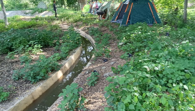 Backpackers Temple - Foto 2, Habitación