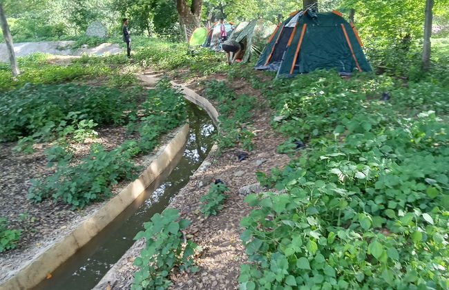 Backpackers Temple - Foto 2