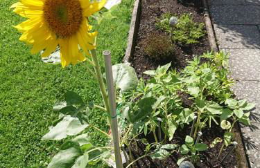 Haus-Brecherspitzblick - Foto 20