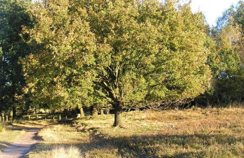 City-Apparte ONE Zentrales & komfortables Wohnen in Gronau - Foto 68