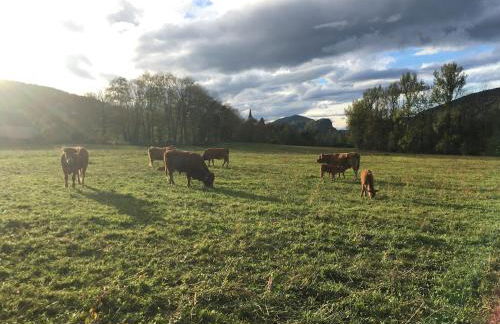 Apparemment spacieux - Foto 6