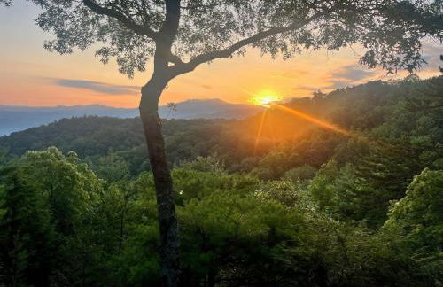 Angels Envy - Foto 45