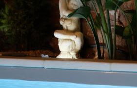 Casa das Amendoeiras - Photo 39