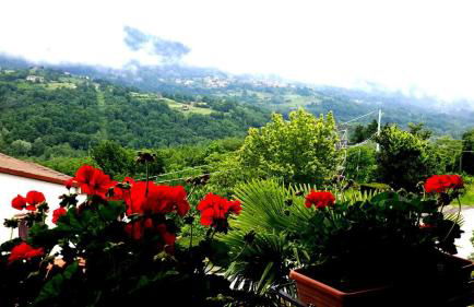 B&B Da Franca - Foto 6