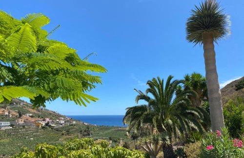 Casa Panama - Foto 17